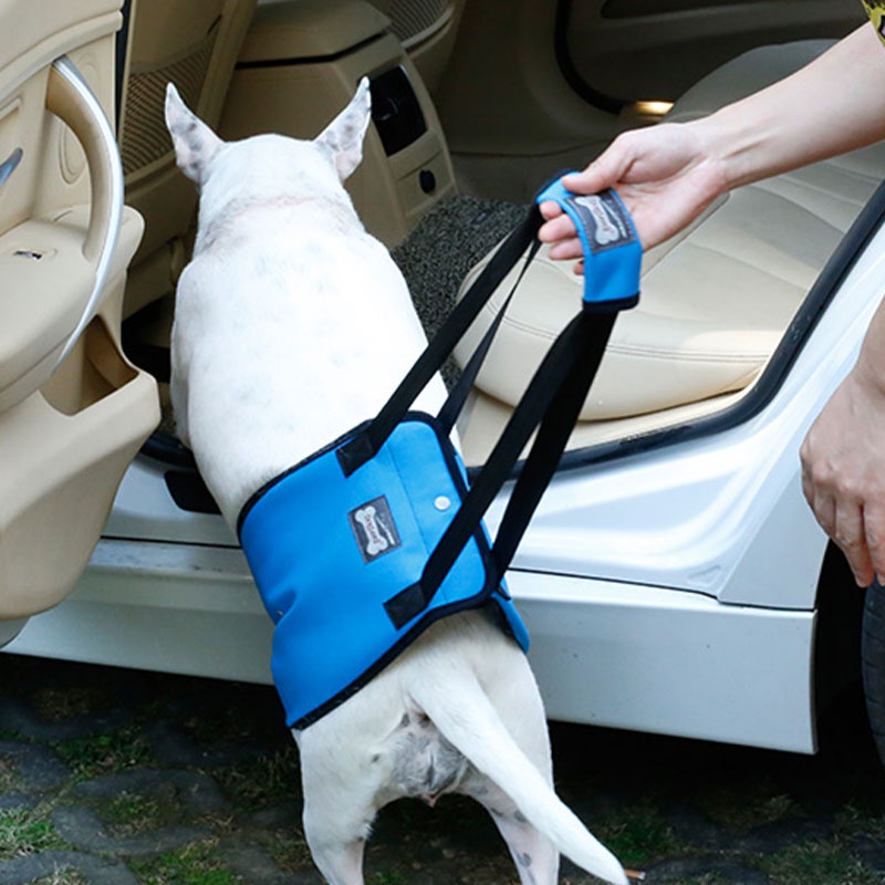 HamshMoc Dây Đai Hỗ Trợ Dắt Thú Cưng Đi Dạo Thiết Kế Thoáng Khí Tiện Dụng