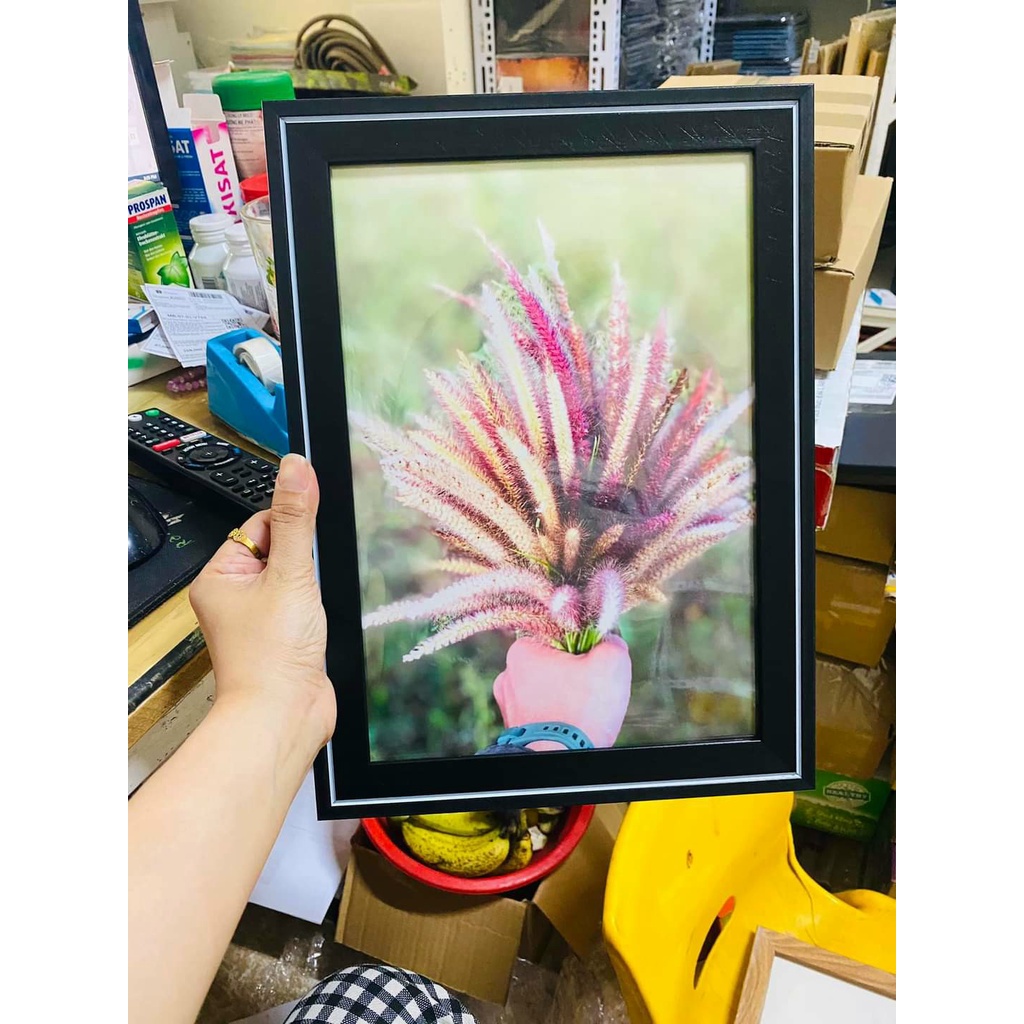 Khung ảnh đẹp   TREO TƯỜNG giá rẻ