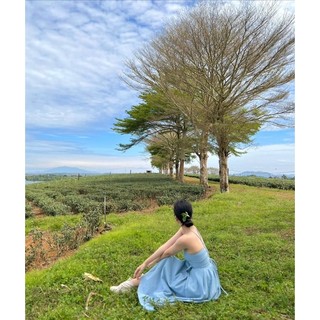 Váy cổ yếm đan lưng - Tường Lam