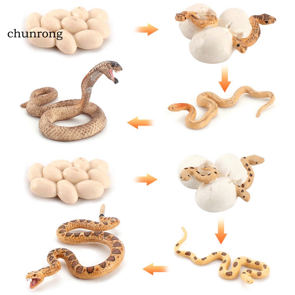 Cr Mô Hình Rắn Đồ Chơi Bằng Nhựa Cho Bé