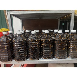 Ong Đất Ngâm Sẵn Can 3 Lít - Đặc Sản 27
