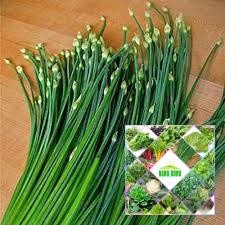 5 GRAM HẠT GIỐNG RAU HẸ BÔNG