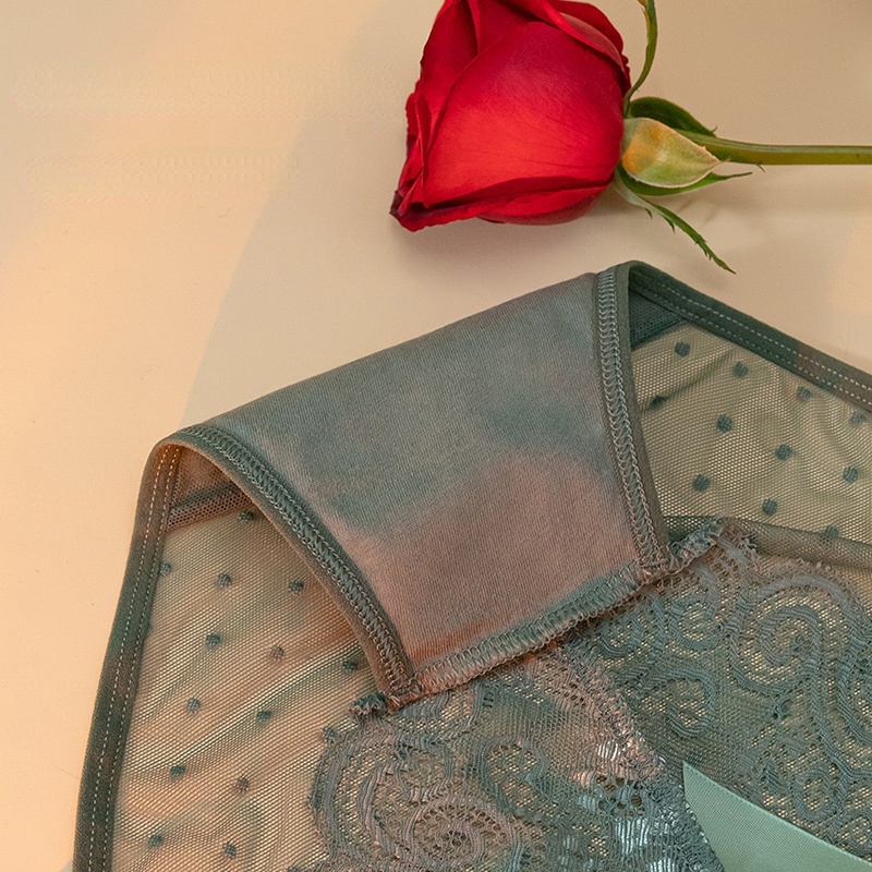 Quần Lót Lưới Ren Rỗng Lưng Thấp Quyến Rũ Cho Nữ