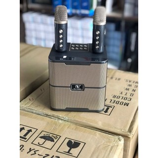 Loa karaoke mini kèm 2 mic ys213