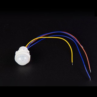 110v 220v Light Switch Sensor Intelligent Switch Automatic Switch On Off