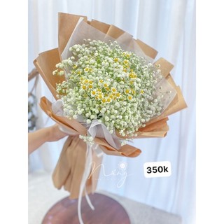 Hoa Baby Hà Lan mix màu ( Ship hoả tốc HCM)