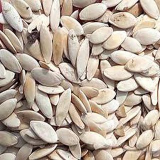 Hạt_Giống_Dưa_Chuột_Nếp