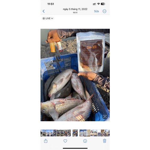 Mồi Câu Chuyên Chép ZINX11