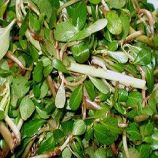 1kg Rau Dừa Nước tươi.hàng sạch 100%