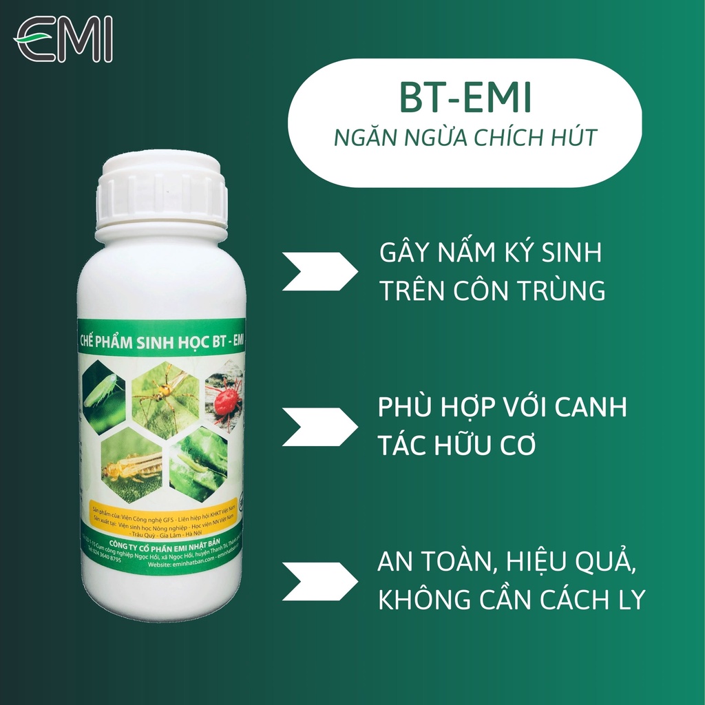 Chế phẩm sinh học BT-EMI cho chè 500ml