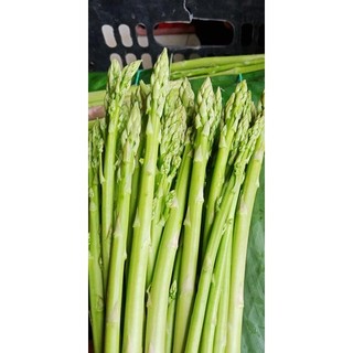 MĂNG TÂY hàng chuẩn, mới xịn 500g