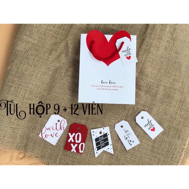Túi đựng hộp socola 9-12 viên