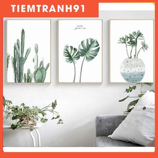 Tranh treo tường | Tranh cây lá nhiệt đới, bộ 3 tranh Màu nước Cây xanh, Cây xương rồng, trang trí tường nhà