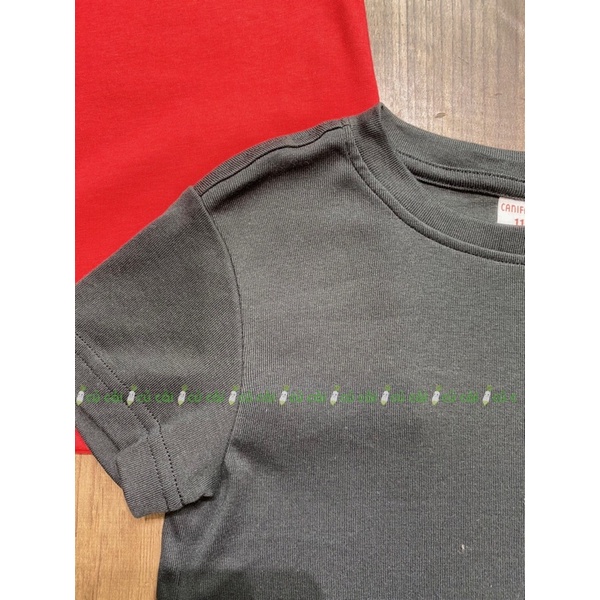 Áo phông unisex 3 màu Ca nifa AH2305