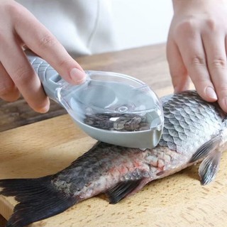 Dụng cụ làm sạch vảy cá tiện lợi