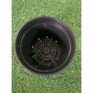 Chậu nhưa trồng lan phi 14cm