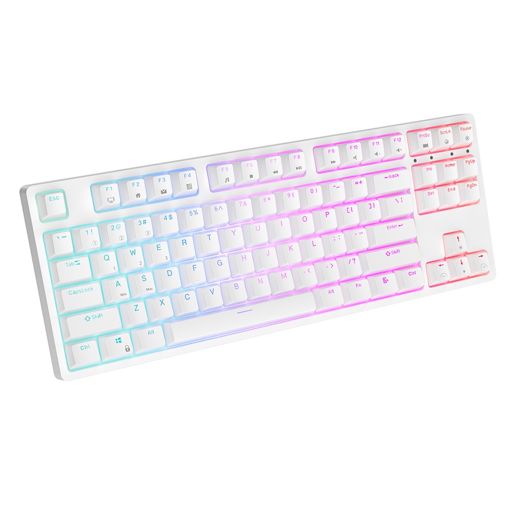 Bàn phím máy tính cơ ROYAL KLUDGE RK87 không dây 87 phím TKL TECLADO có đèn nền RGB hỗ trợ chơi game cắm ngay