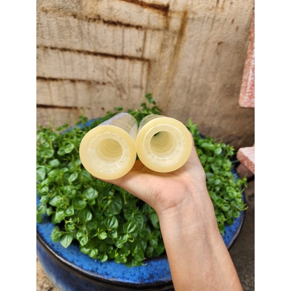 BĂNG KEO CUỘN 1 CÂY 10 CUỘN
