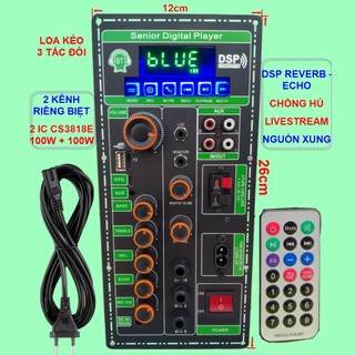 Mạch loa kéo 2 kênh livestream dsp reverb – echo chống hú 2 ic cs3818e 100w + 100w – loa kéo 3 tấc đôi