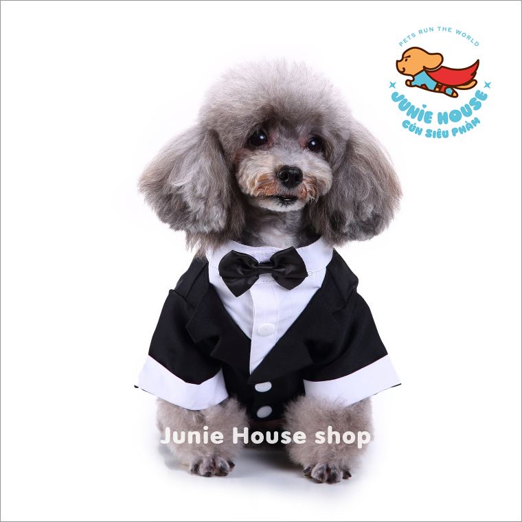 Áo Vest đen chú rể sang trọng cho chó mèo