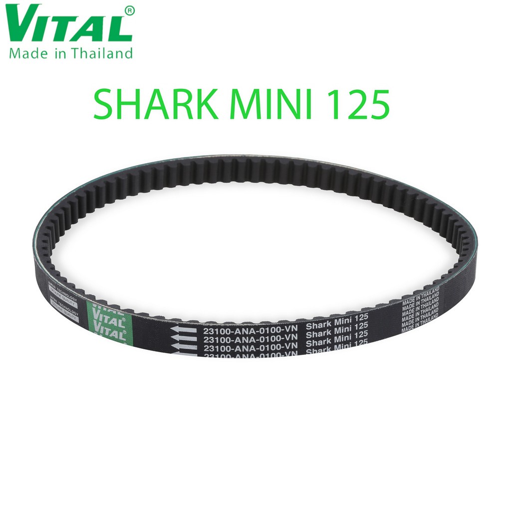 {sg} H A Curuo VITL ho xe Shark Mini hiệu VITL- hính hãng Thái Lan