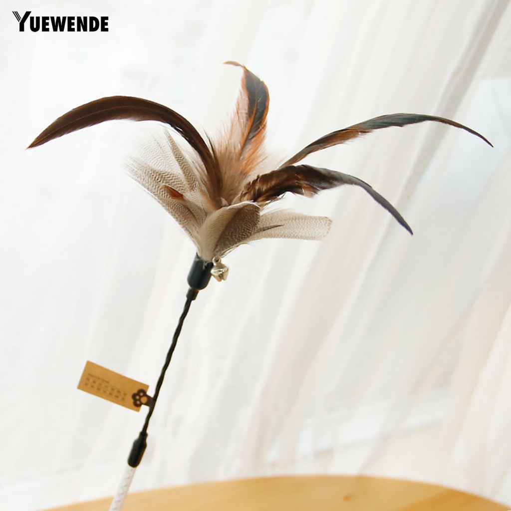 Gậy Trêu Mèo Có Thể Tái Sử Dụng Tiện Dụng