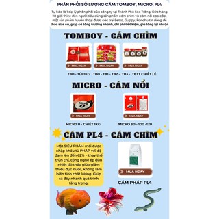 Sỉ bao cám micro 120, micro 180