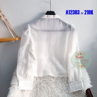 Áo sơ mi lửng cổ bẻ tay dài