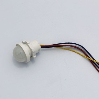 110v 220v Light Switch Sensor Intelligent Switch Automatic Switch On Off