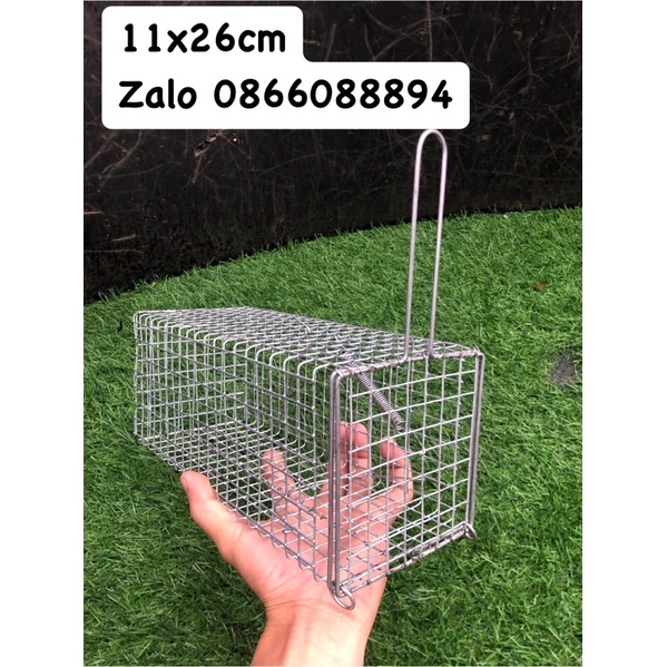 Lồng bẫy Chuột 🐭Sóc 11x26cm