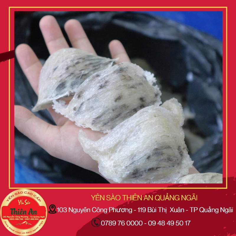 30G Yến thô loại 3 (lông vừa) - Tặng Kèm Nguyên Liệu Chưng Yến - Thiên An - Yến Ven Biển Quảng Ngãi