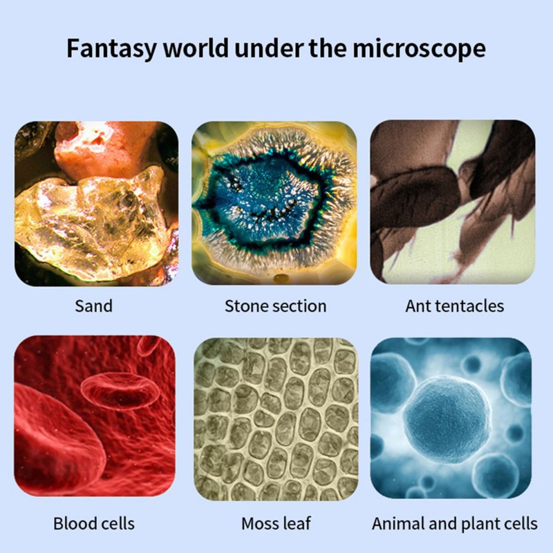 Kính Hiển Vi Cầm Tay Độ Phóng Đại 60-120X Có Đèn LED Chuyên Dụng Cho Phòng Thí Nghiệm