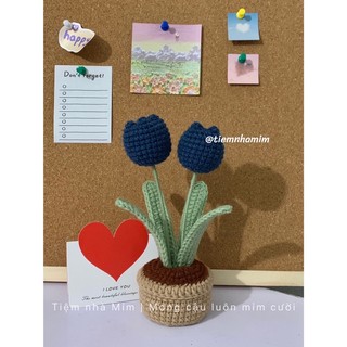 [Ảnh thật] CHẬU HOA TULIP LEN CÁC SIZE HANDMADE