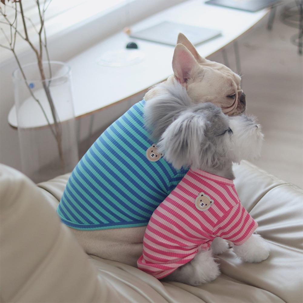 Áo Thun Cotton Thoáng Khí In Hình Chó Chihuahua Dễ Thương Cho Cún Cưng