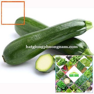 10 - HẠT GIỐNG BÍ NGÒI Hạt Giống Nông Trại Xanh THE GARDEN