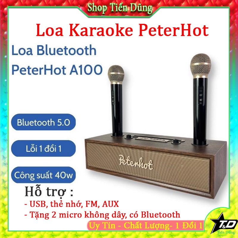 Loa Karaoke Bluetooth Peterhot A100 Kèm 2 Micro Không Dây Hỗ Trợ USB, Thẻ Nhớ Công Xuất Lớn 40W Chất Liệu Gỗ Cao Cấp