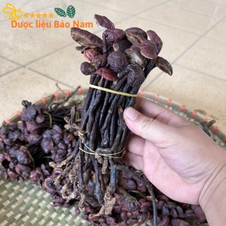 Nấm linh chi cổ cò rừng lai châu chuẩn 200g - 500g