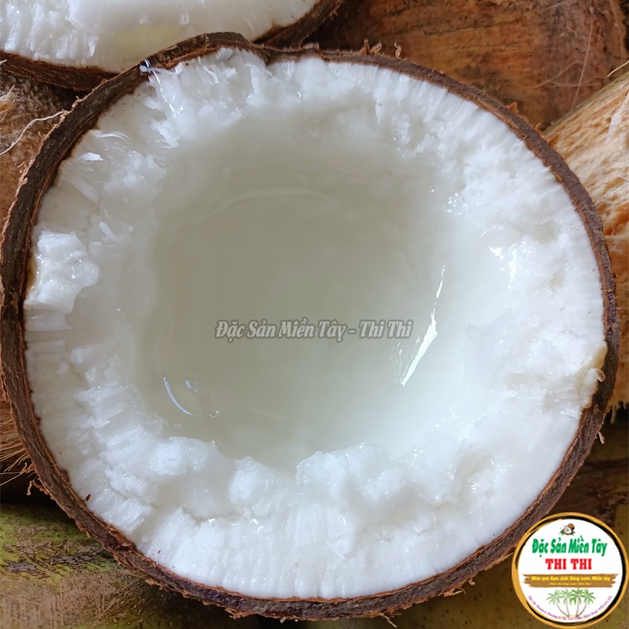Dừa Sáp Lỡ Size Vừa