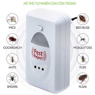Thiết bị đuổi côn trùng pest reject - máy đuổi ruồi, muỗi, kiến, chuột, dán, thông minh - tiện lợi, an toàn... .