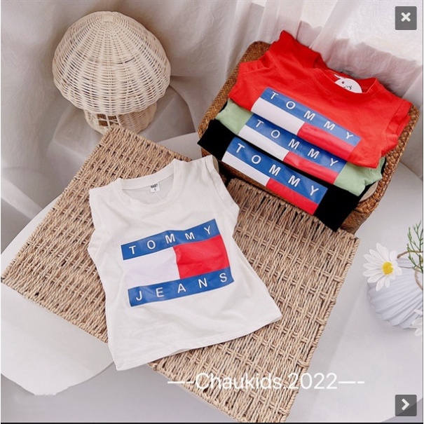 SET 2 Áo thun TOMMY dành cho bé trai