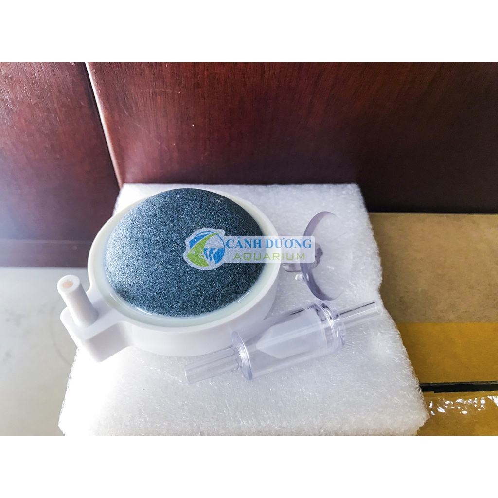 Sủi dĩa Nano- Sủi oxy siêu mịn C50 D50 C80 kích thước sủi 5cm 8cm