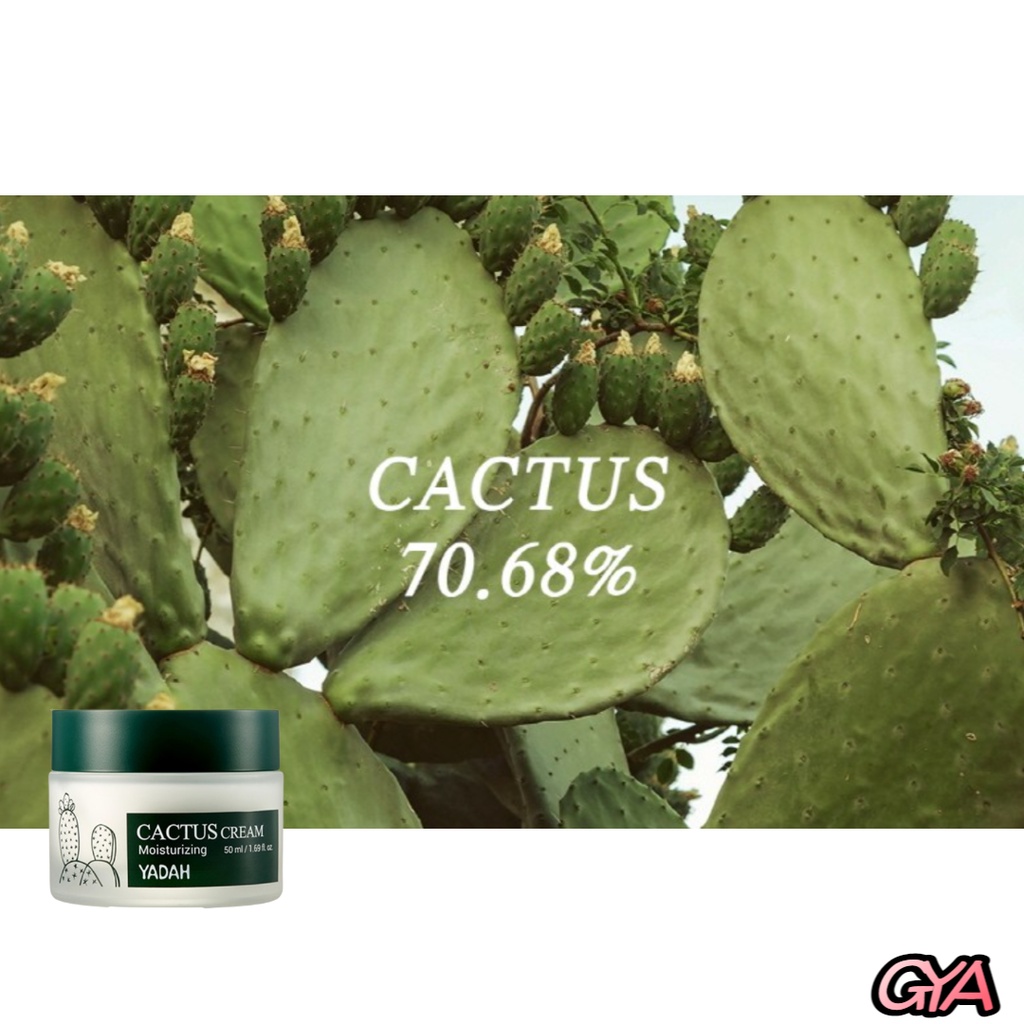 Kem Dưỡng Ẩm Cactus 50ml