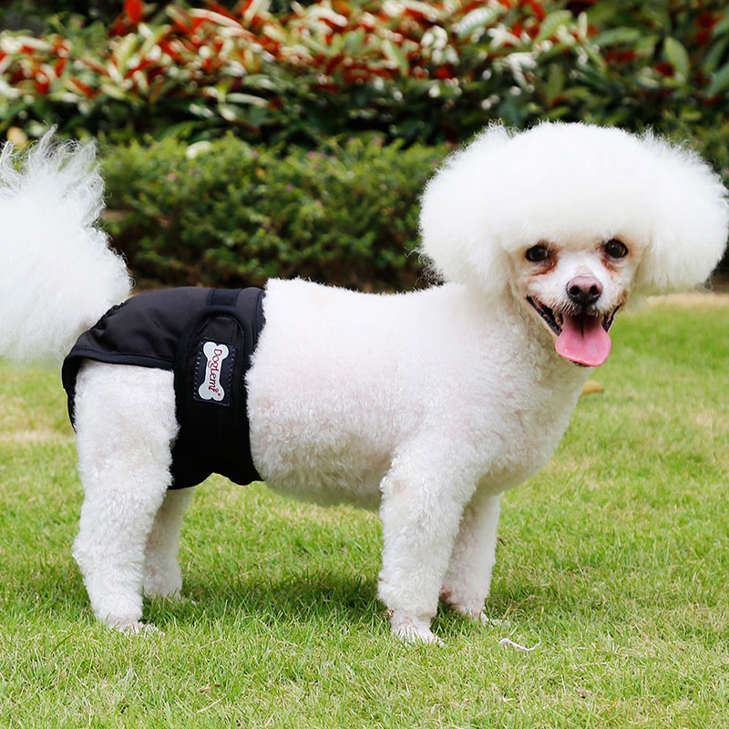 HamshMoc Tã Quần Sooc Sinh Lý Độ Thấm Hút Cao Thoáng Khí Tùy Chỉnh Tiện Dụng Cho Cún Cưng