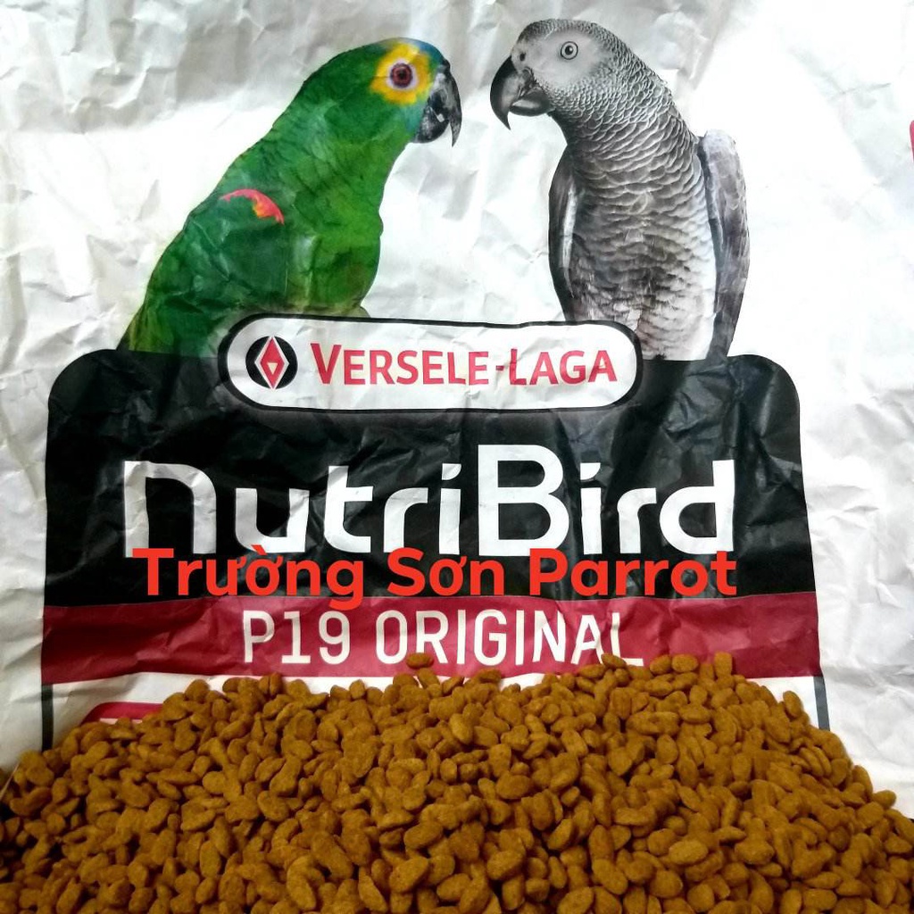 Thức ăn viên hoàn chỉnh cho vẹt trung và lớn nutri Bird P19 original (hàng nhập Bỉ)