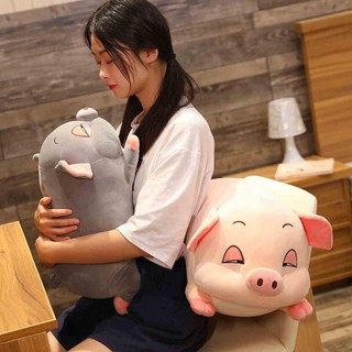 HEO NHỒI BÔNG (50cm) GẤU BÔNG HEO PHÊ CẦN HEO BUỒN NGỦ HEO HÍ