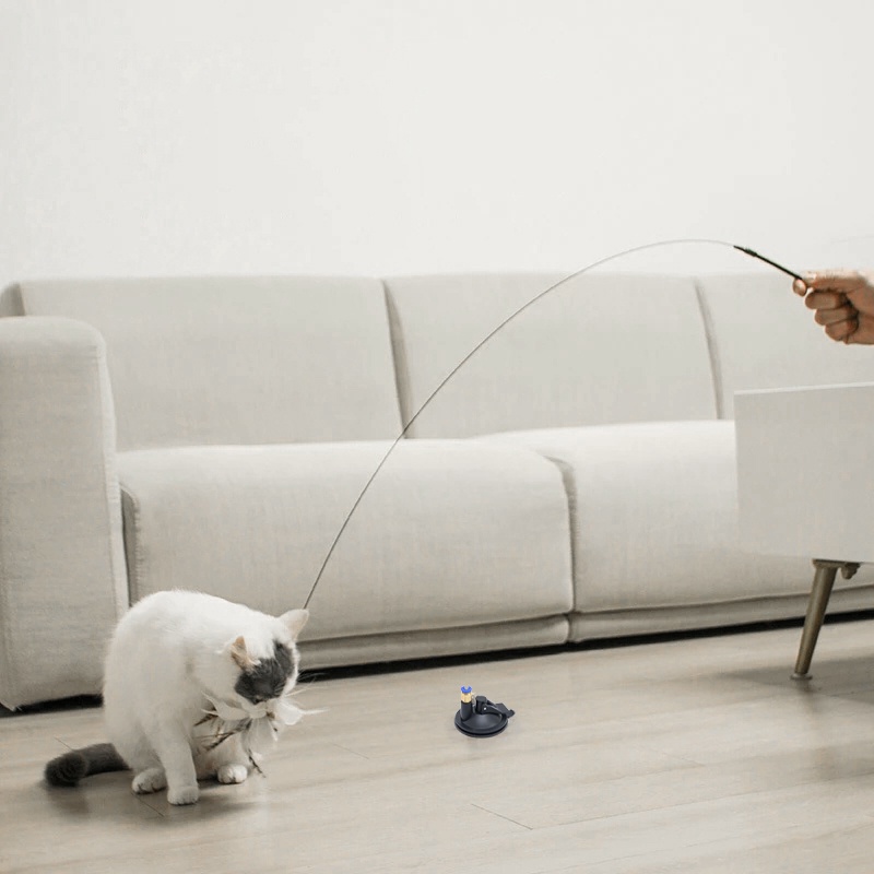 Gậy Trêu Mèo Có Giác Hút Vui Nhộn