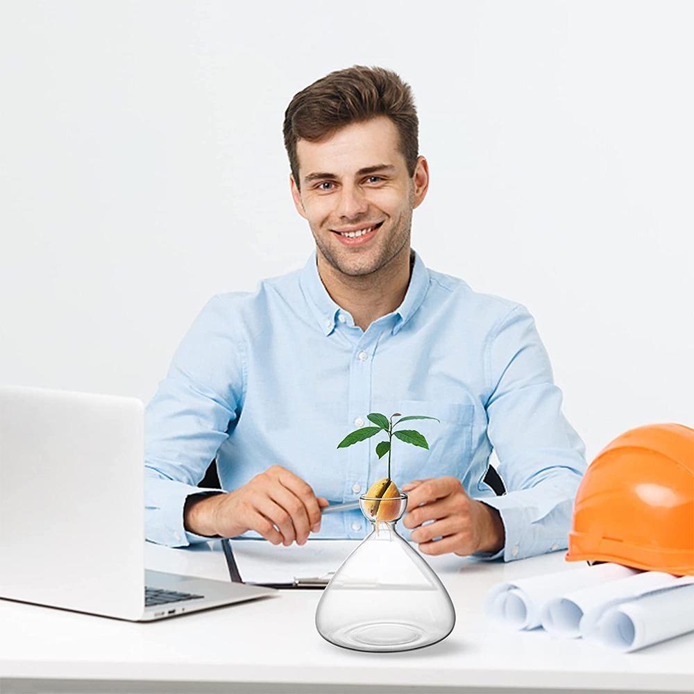 Bình Trồng Hạt Giống Quả Bơ Bằng Thủy Tinh Trong Suốt