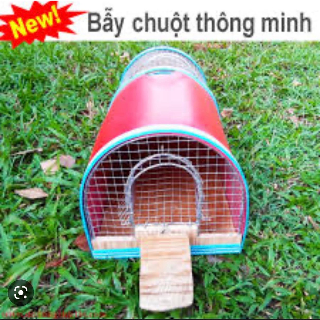 Bẫy lồng chuột thông minh