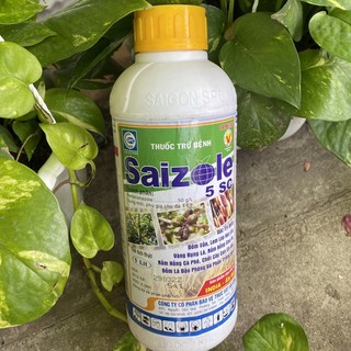 Saizole 5SC 1L Trừ bệnh nấm hồng, vàng lá, đốm lá, chết nhanh..
