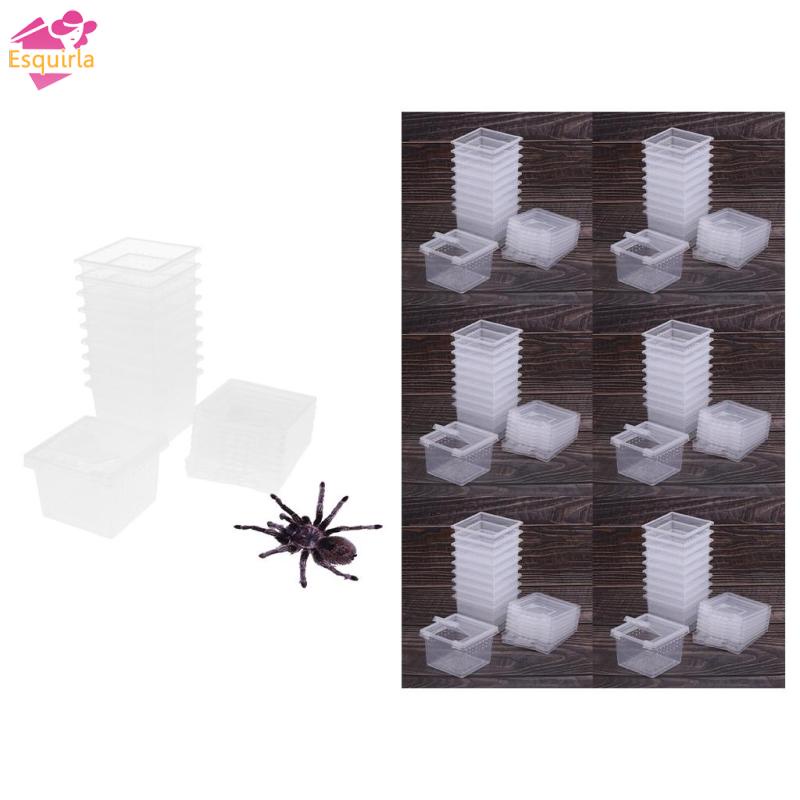 Bộ 60 Hộp Nhựa Bắt Côn Trùng Cho Bò Sát